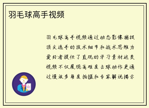 羽毛球高手视频