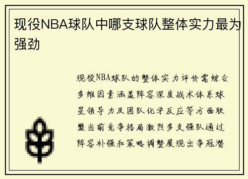 现役NBA球队中哪支球队整体实力最为强劲