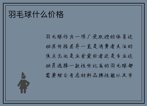 羽毛球什么价格